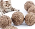 猫是否需求定时吃化毛膏