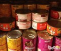 宠物猫罐头能否当主食