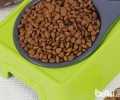 猫粮中的肉类副产品是什么