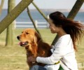 男不养猫，女不养狗一定是对的吗