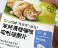 猫驱虫攻略来喽！新手怎么正确地给猫驱虫？
