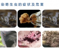 猫咪驱虫多久一次适宜？标准答案来咯！