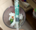 猫咪驱虫多久一次适宜？标准答案来咯！