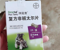 拜宠清和犬心保 该选哪个？