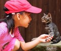 让猫咪学会握手不是不可能