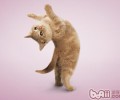 练习猫猫扮演跳环的技巧