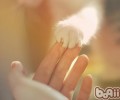 怎样与猫咪互动不会被抓伤