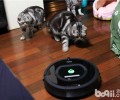 猫咪怕吸尘器怎么办？