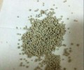 怎么教训猫咪运用猫砂盆