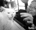 猫咪救人的故事你听说过吗